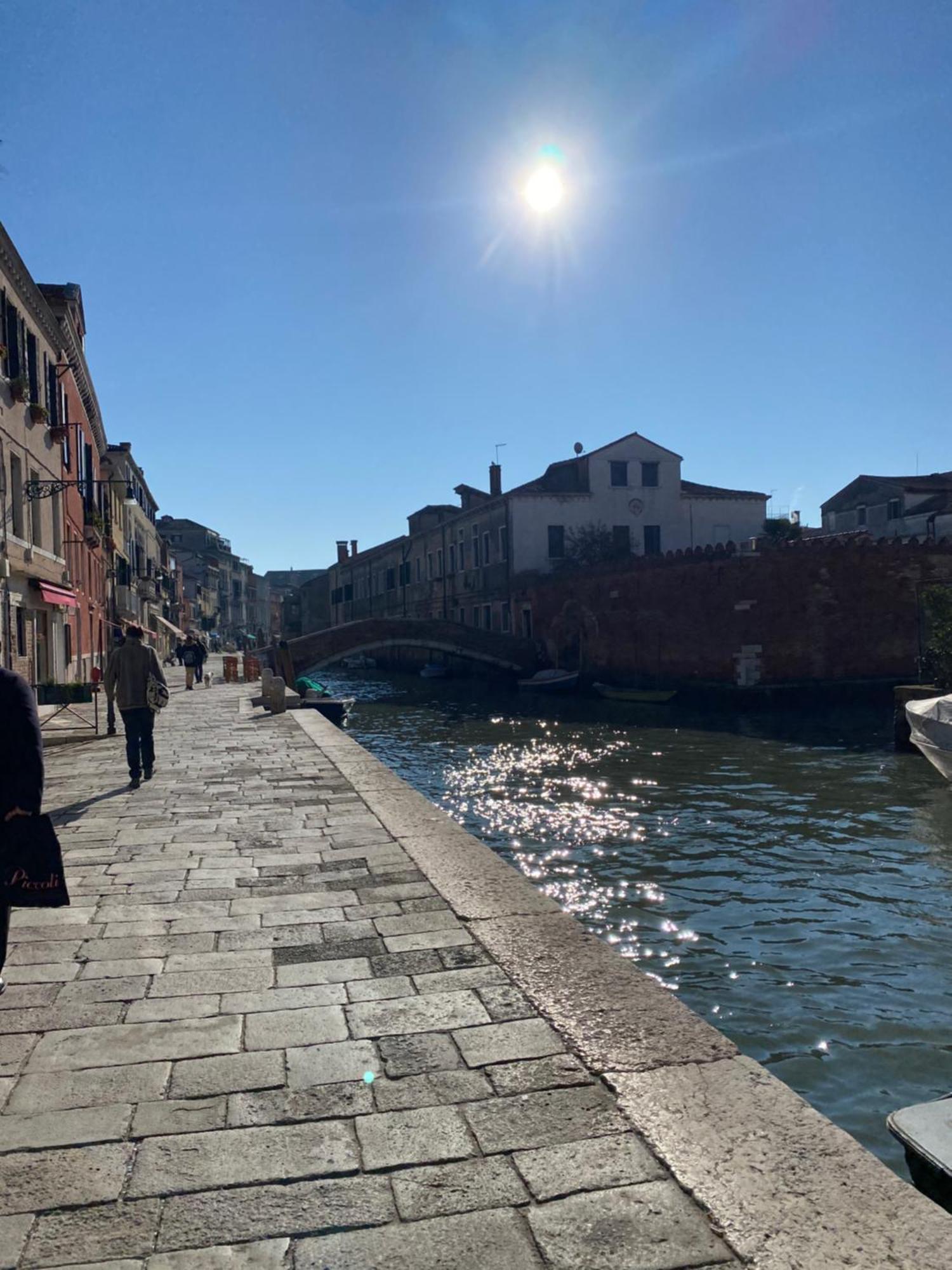 Bella Addai Venice